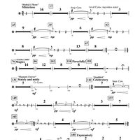 Harry Potter Symphonic Suite - Percussion 2