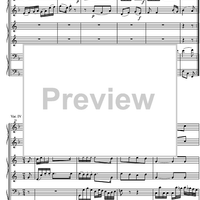 Divertimento F Major KV253 - Score