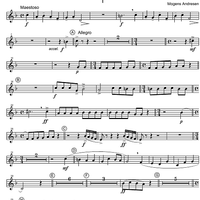 Concertino - Horn in F 3