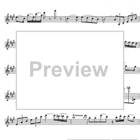 Divertimento No.17 D Major KV334 - Violin 1