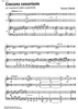 Ciaccona concertante - Score