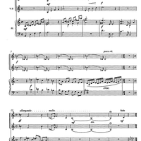Ciaccona concertante - Score