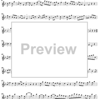 Sonata No. 6 in D Minor - Flute