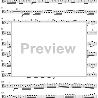 Flute Concerto in F Major, Op. 10, No. 1 ("La Tempesta di Mare") - Viola