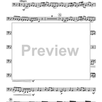 Sonata In G Minor - Tuba