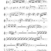 Loudoun Praises - Flute 1