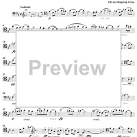 Last Spring, No. 2 from "Two Elegiac Melodies", Op. 34 - Cello