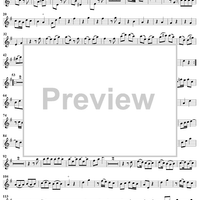 Sonata No. 5 in G Major - Flute