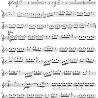 The Two Little Bullfinches - Piccolo 2