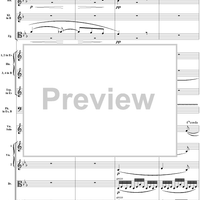 Violin Concerto No. 1, Movement 2 - Score