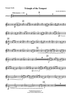 Triangle of the Tempest - Trumpet 3 in Bb