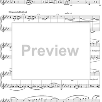 Symphony No. 1 in D Major, "Titan", Movement 4