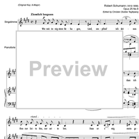 Lied der Suleika Op.25 No. 9