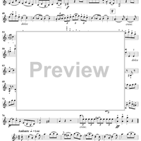 Violin Duets, Op. 46 - Violin 1