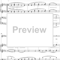 17. Nicht Wandle, Mein Licht