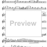 Im Schweizer Volkston - Flute