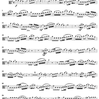 "Greifet zu, fasst das Heil", Aria, No. 4 from Cantata No. 174: "Ich liebe den Höchsten von ganzem Gemüte" - Viola