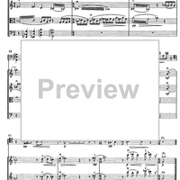 Contrabbasso concertante - Score