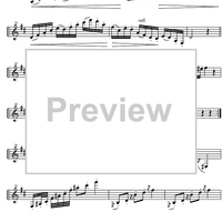 Capriccio No.20 D Major