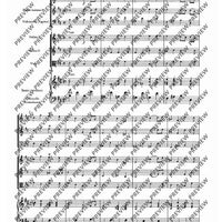 Concerto B Minor in B minor - Score