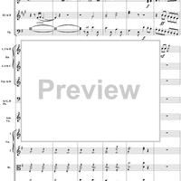 Violin Concerto No. 1, Movement 3 - Score