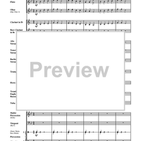 Haydn Seek Surprise - Score