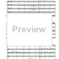 Turkey in the Straw - Score