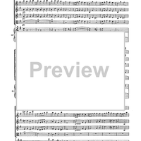 Double Concerto for Recorder and Flute in E minor - Score