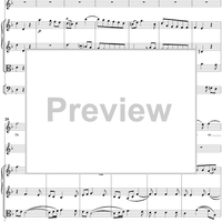 Mass No. 18 in C Minor, No. 5: Domine - Full Score