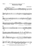 Boisterous Flight - Violin 2