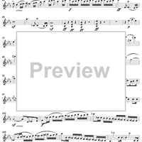 Violin Sonata No. 7 - Violin