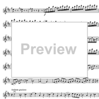 Concerto No. 4 D Major KV218 - Violin