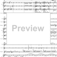 Violin Concerto No. 5 - Full Score