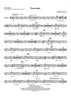 Panoramic - Percussion 2
