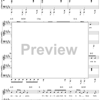 The Streets of Dublin