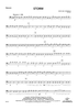 Storm - Bassoon