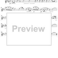 Fantasiestücke, Op. 12, No. 3, "Warum" (Why) - Violin