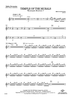 Temple of the Murals - Mallet Percussion