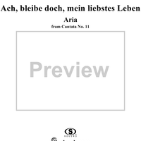 "Ach, bleibe doch, mein liebstes Leben", Aria, No. 4 from Cantata No. 11: "Lobet Gott in seinen Reichen" - Violin