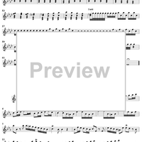 The Four Seasons, No. 4: Winter - Solo Violin