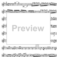 Concerto No. 3 G Major, KV216 - Violin