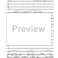 Violin Concerto in E Minor, Movement 3 - Full Score