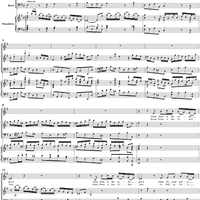 Haste, haste to the cedar grove, No. 12 from Oratorio "Solomon", Act 1 (HWV67)