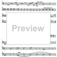 Divertimento Op.69 - Bassoon