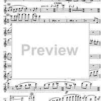 Concertino giocoso Op. 12 - Flute 1