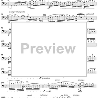 Cello Concerto No. 9 in B-flat Major - Cello