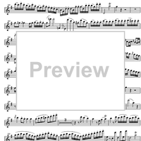 Concerto No. 1 G Major KV313 - Flute