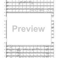 Circuite Suicus - Score