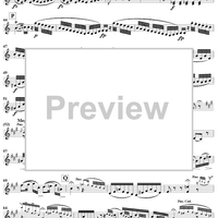 Piano Trio in C Major    (HobXV/27) - Violin