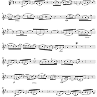 "Von der Welt verlang' ich nichts", Aria, No. 7 from Cantata No. 64: "Sehet, welch eine Liebe" - Violin